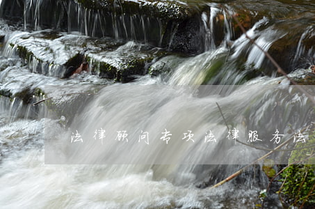 法律顾问 专项法律服务(法律顾问处)
