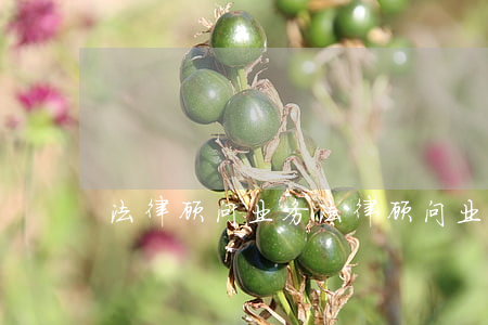 法律顾问业务(法律顾问业务员)