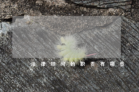 法律顾问的职责有哪些