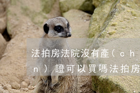 法拍房法院沒有產(chǎn)權(quán)證可以買嗎(法拍房沒辦理產(chǎn)權(quán)證的怎么過戶)