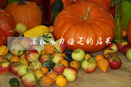 法松无力偿还的后果