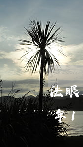 法眼大律师2021年(法眼大律师2021年10月13日)