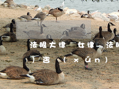 法眼大律師女律師(法眼大律師免費(fèi)咨詢(xún))
