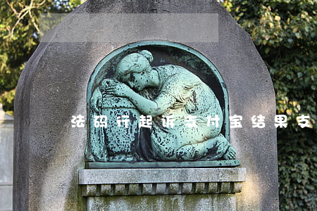 法码行起诉支付宝结果(支付宝法律诉讼)