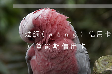法網(wǎng)信用卡逾期(網(wǎng)貸逾期信用卡)