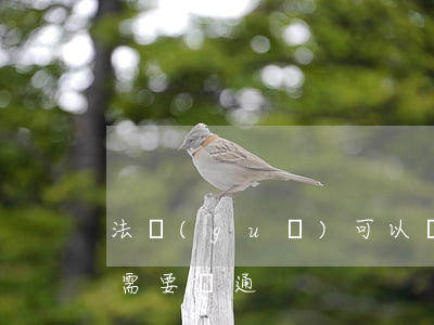 法規(guī)可以變通嗎(規(guī)則需要變通)