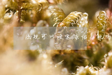 法规可以设定冻结存款吗(依法冻结存款)