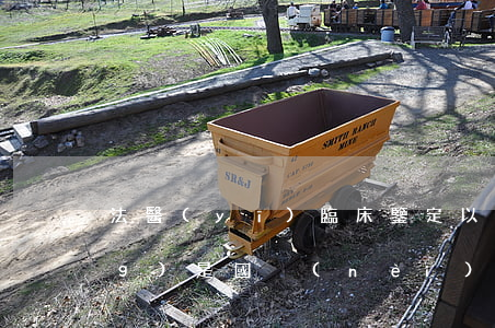 法醫(yī)臨床鑒定(以下事項(xiàng)是國內(nèi)外法醫(yī)臨床鑒定)