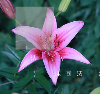 法醫(yī)臨床鑒定范圍(關于法醫(yī)臨床司法鑒定若干問題的規(guī)定)
