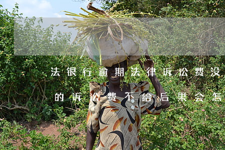 法银行逾期法律诉讼费没有按时给-欠银行的诉讼费不给后果会怎样
