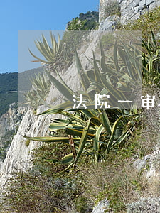 法院一审可以不去吗(一审法院不立案怎么办)