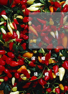 法院一审后还可以从审吗(再审可以发回一审法院吗)