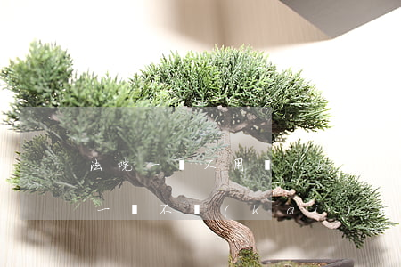 法院一審不用開(kāi)庭就可以判決嗎(一審不開(kāi)庭直接判決)