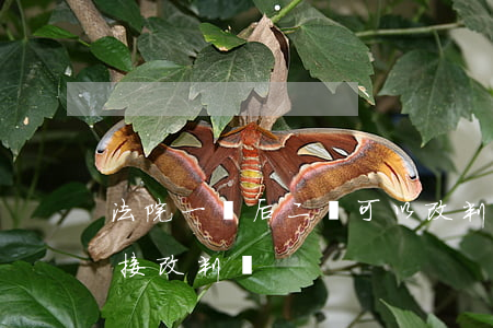 法院一審后二審可以改判嗎(二審法院可以直接改判嗎)