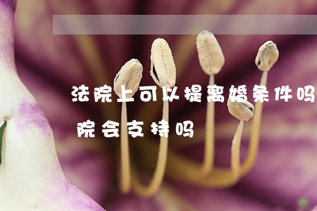 法院上可以提离婚条件吗(无缘无故提离婚法院会支持吗)