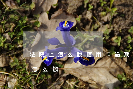 法院上怎么說信用卡逾期(信用卡逾期被告了怎么辦)