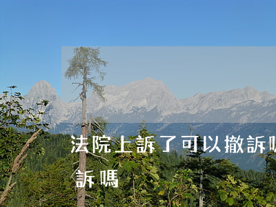 法院上訴了可以撤訴嗎(法院起訴之后可以撤訴嗎)
