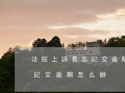 法院上訴費忘記交逾期怎么辦（法院上訴費忘記交逾期怎么辦）