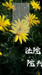 法院上訴還沒(méi)立案撤訴可以嗎(法院判決撤訴了還可以上訴嗎)