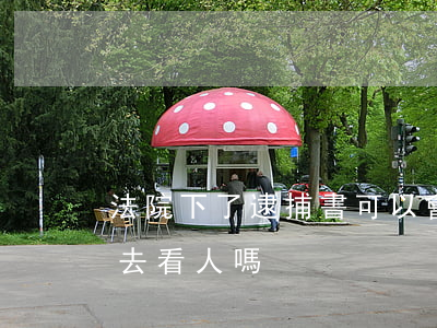 法院下了逮捕書可以會見嗎(逮捕書下來可以去看人嗎)