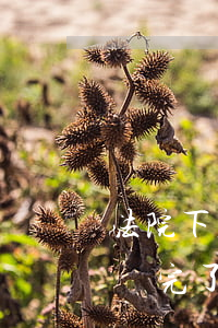 法院下判決后可以報(bào)警嗎(法院判決完了報(bào)警還有用嗎)