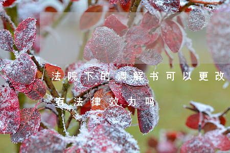 法院下的调解书可以更改吗(法院出的调解书有法律效力吗)
