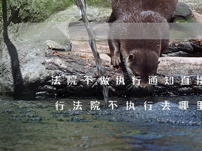 法院不做执行通知直接上失信可以投诉吗(执行法院不执行去哪里投诉)