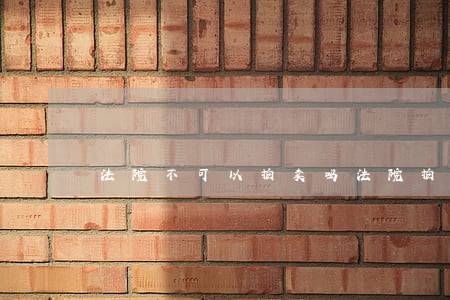法院不可以拍卖吗(法院拍卖的公司可以买吗)