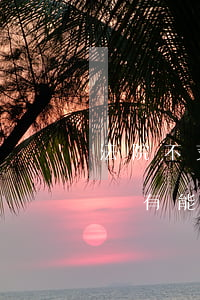 法院不支持的債務(wù)可以自己去要嗎(沒有能力償還債務(wù)法院怎么處理)