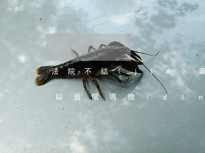 法院不結(jié)案擔(dān)保人可以追償嗎(擔(dān)保人承擔(dān)責(zé)任后如何追償)