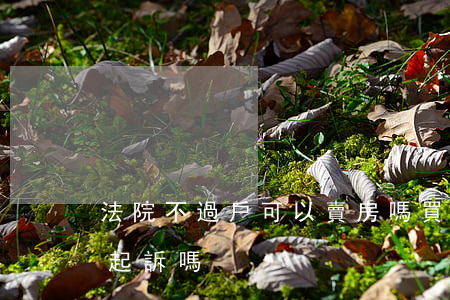 法院不過戶可以賣房嗎(買房者不過戶,賣方能起訴嗎?)