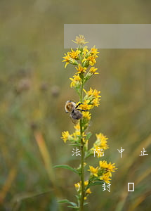 法院中止執(zhí)行后還可以續(xù)封嗎(再審中止執(zhí)行 能解封財(cái)產(chǎn)嗎)
