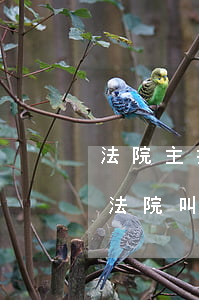 法院主持調(diào)解可以考慮一下嗎(法院叫調(diào)解可以不去嗎)