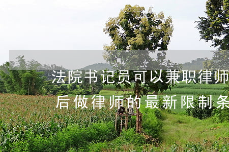 法院书记员可以兼职律师吗(法院书记员辞职后做律师的最新限制条件)