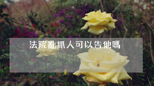 法院亂抓人可以告他嗎