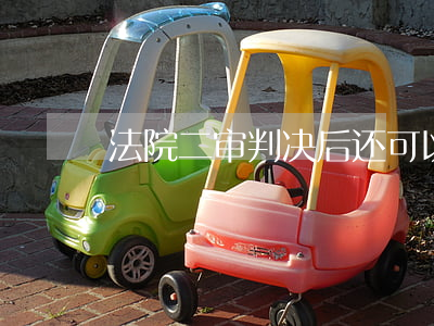 法院二审判决后还可以上诉吗