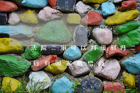 法院二审可以判缓刑吗(二审改判有期徒刑缓行有国家赔偿吗)