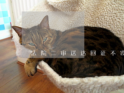 法院二审送达回证不寄回去可以吗