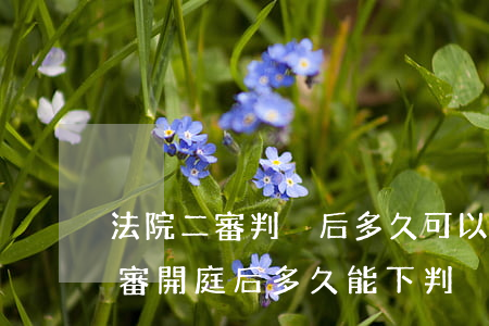 法院二審判決后多久可以上訴嗎(刑事上訴二審開庭后多久能下判決)