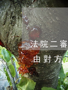 法院二審可以請律師嗎(二審新的律師費可以由對方承擔嗎)
