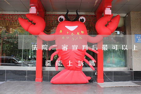 法院二審宣判后最可以上訴嗎(二審為終審判決還能上訴嗎)