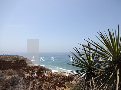 法院交罰金可以支付寶交錢嗎(支付寶怎么交法院罰金)
