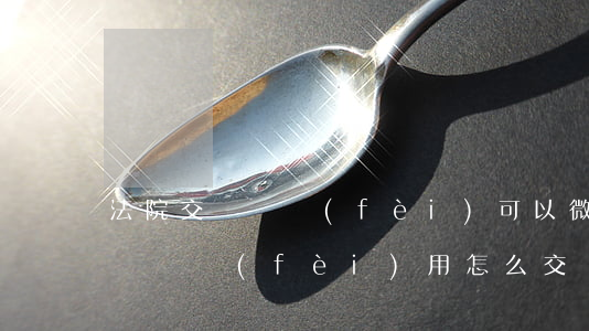 法院交訴訟費(fèi)可以微信嗎(微信交訴訟費(fèi)用怎么交)