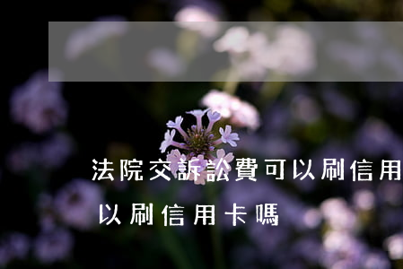 法院交訴訟費可以刷信用卡嗎(法院訴訟費可以刷信用卡嗎?)