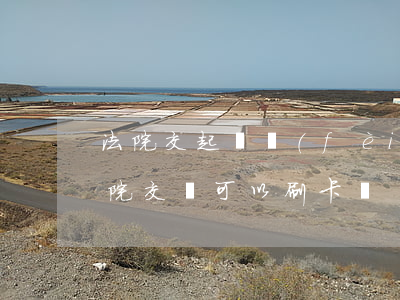 法院交起訴費(fèi)可以刷信用卡嗎(法院交錢可以刷卡嗎)