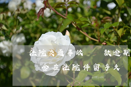 法院交通事故賠償款逾期有利息嗎-交通賠償金在法院停留多久