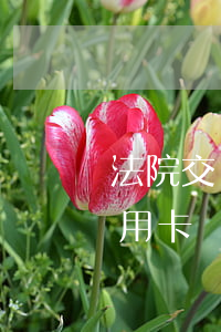 法院交錢可以刷信用卡嗎(法院繳費可以刷信用卡嗎)