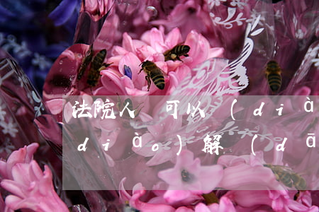法院人員可以調(diào)解嗎(法院調(diào)解當(dāng)事人可以不去嗎)