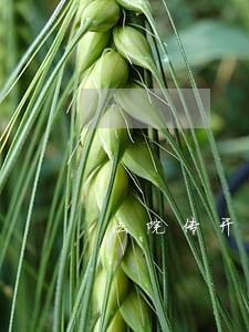 法院传开庭不去可以吗(开庭能不去吗)