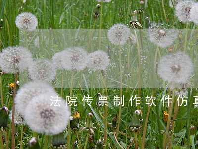 法院传票制作软件(仿真法院传票在线生成)